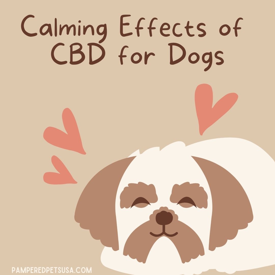 drawing of a happy dog with hearts around his head. Text that reads 'calming effects of CBD on dogs'