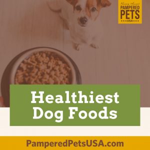 Healthiest Dog Foods