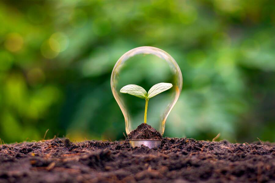 Sustainability